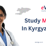 <strong>Study MBBS In Kyrgyzstan</strong>